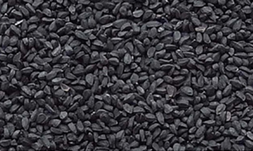 Black-Kalonji-Seeds-Price.jpg_300x300