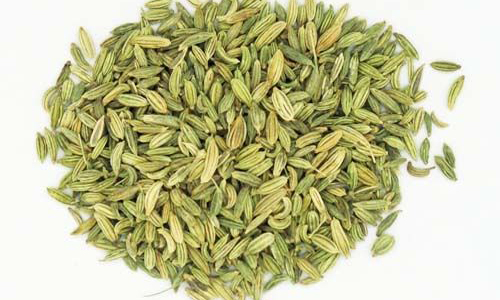 fennel_seed3